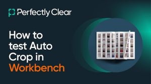 Perfectly Clear WorkBench The Ultimate AI Photo Correction