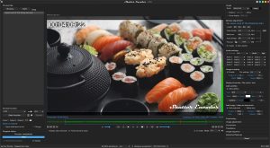 Shutter Encoder: Free Professional Video Converter | 400+ Codecs