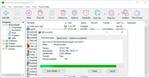 Internet Download Manager (IDM)