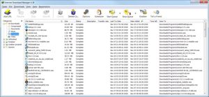 Internet Download Manager (IDM)